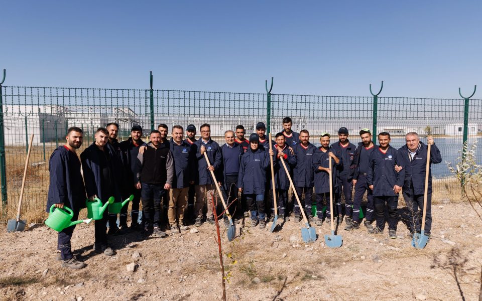 Brisa · Gönüllülük ve fidan dikimi